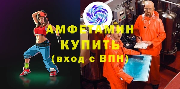 прущие грибы Вязьма